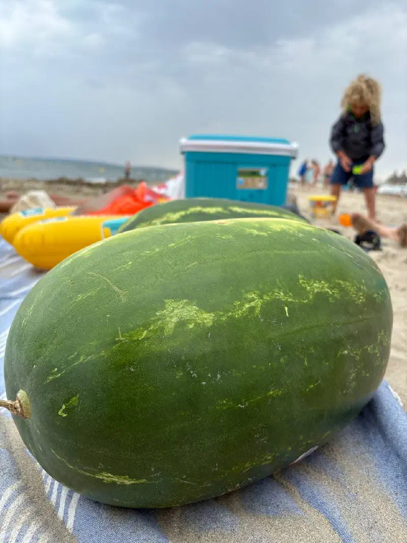 A large watermelon resting on a striped blanket on the sand, with an inflatable and a cool box blurred behind.
