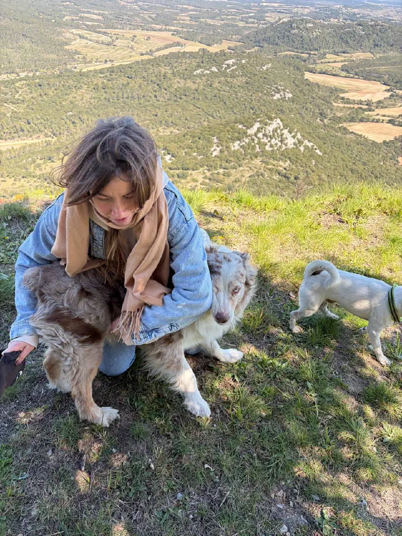 Hiker hugging an Australian shepherd at the cliff edge, a second dog nearby and the valley far below