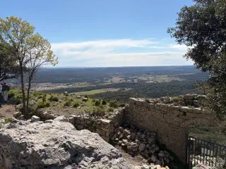 Castle ruin walls above a valley of fields and woodland, the sea shimmering on the horizon