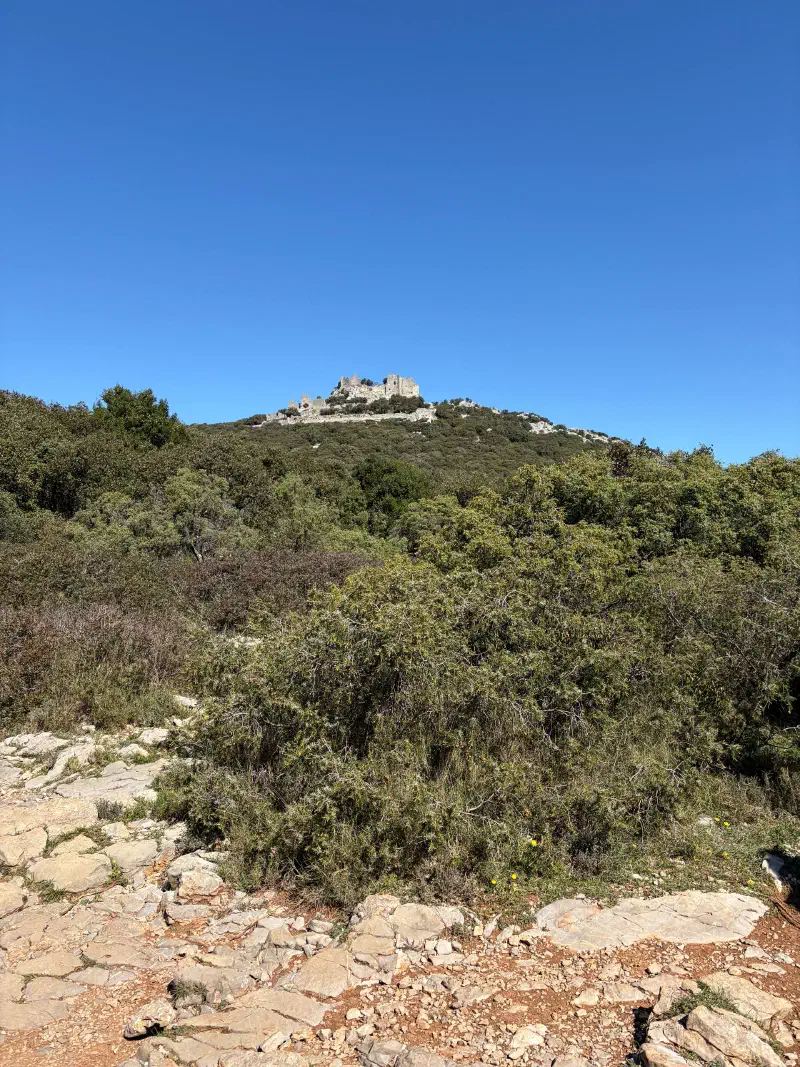 Ruins of Montferrand castle on the hilltop, seen from the rocky trail through the garrigue