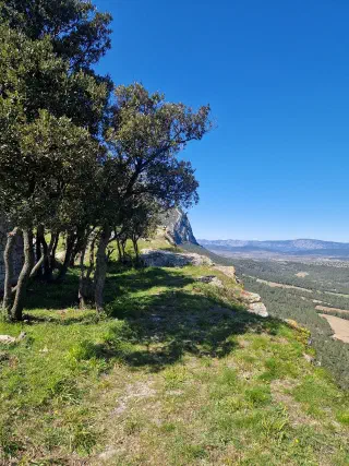 Grassy ledge on the summit: evergreen oaks at the edge of a drop, valley and hill ridges below