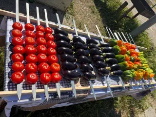 Rows of skewers with tomatoes, eggplants and peppers laid out before grilling
