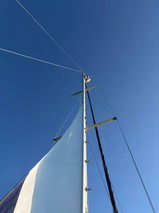 Looking up from the deck: a participant has climbed near the masthead of the sailing yacht, white sail against the sky